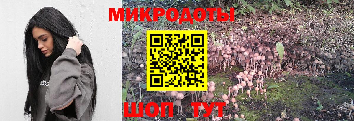 Галлюциногенные грибы Magic Shrooms  Вход с VPN  Ишимбай  Галлюциногенные грибы GOLDEN TEACHER 